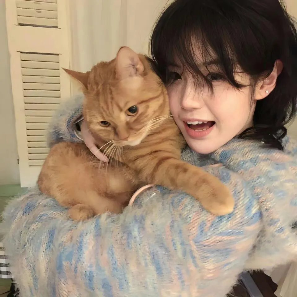 嘻哈四重奏第三季